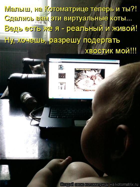 Котоматрица: Малыш, на Котоматрице теперь и ты?! Сдались вам эти виртуальные коты... Ведь есть же я - реальный и живой! Ну, хочешь, разрешу подергать  хвости