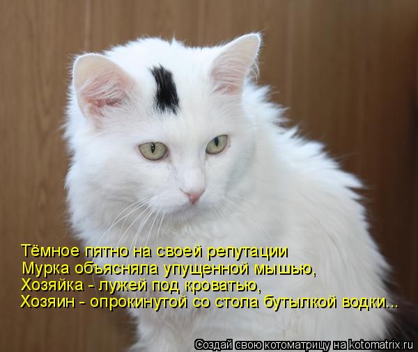 Котоматрица: Хозяин - опрокинутой со стола бутылкой водки... Хозяйка - лужей под кроватью, Мурка объясняла упущенной мышью, Тёмное пятно на своей репутаци