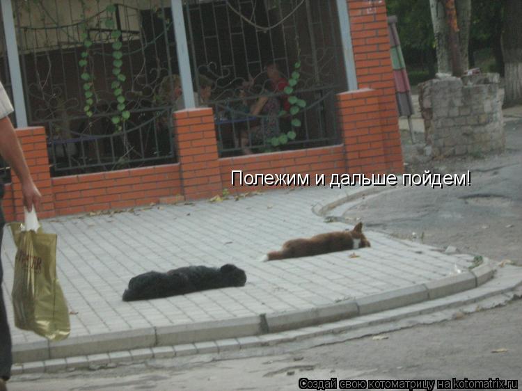 Котоматрица: Полежим и дальше пойдем!