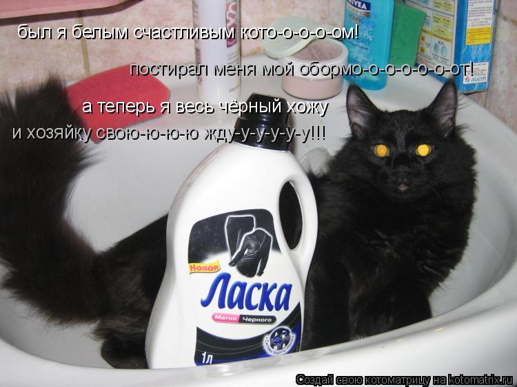 был я белым счастливым кото-о-о-о-ом! постирал меня мой обормо-о-о-о-о-о-от! а теперь я весь чёрный х... Котоматрица: был я белым счастливым кото-о-о-о-ом! постирал меня мой обормо-о-о-о-о-о-от! а теперь я весь чёрный хожу и хозяйку свою-ю-ю-ю жду-у-у-у-у-у!!!