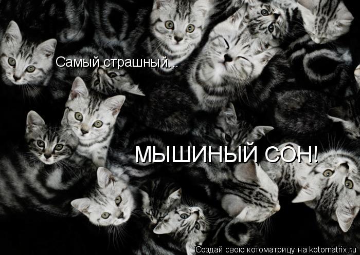 Котоматрица: Самый страшный... МЫШИНЫЙ СОН!