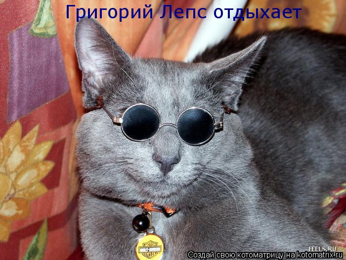 Котоматрица: Григорий Лепс отдыхает