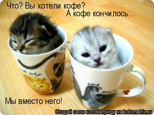 Котоматрица: Что? Вы хотели кофе? А кофе кончилось... Мы вместо него!