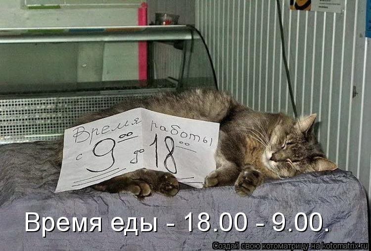 Время еды - 18.00 - 9.00.... Котоматрица: Время еды - 18.00 - 9.00.