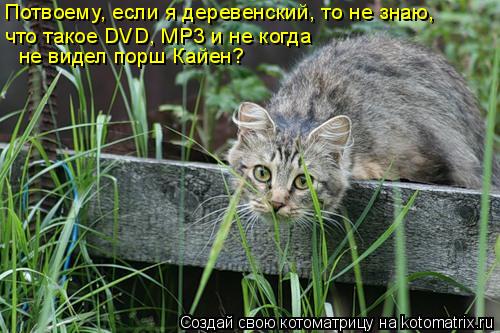 Котоматрица: Потвоему, если я деревенский, то не знаю,  что такое DVD, MP3 и не когда  не видел порш Кайен?