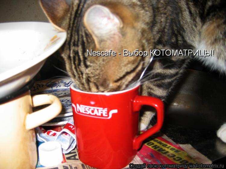 Котоматрица: Nescafe - Выбор КОТОМАТРИЦЫ!