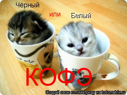 Котоматрица: Чёрный или Белый КОФЭ