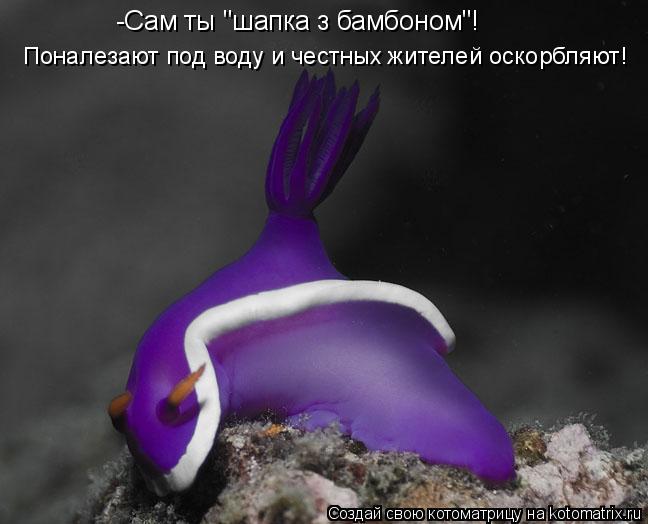 -Сам ты "шапка з бамбоном"! Поналезают под воду и честных жителей оскорбляют!... Котоматрица: -Сам ты "шапка з бамбоном"! Поналезают под воду и честных жителей оскорбляют!