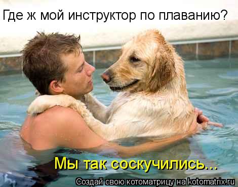 Котоматрица: Где ж мой инструктор по плаванию? Мы так соскучились...