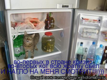 Котоматрица: во-первых:в стране кризис... во-вторых:кот всю жратву съел И НАГЛО НА МЕНЯ СМОТРИТ!!!)))