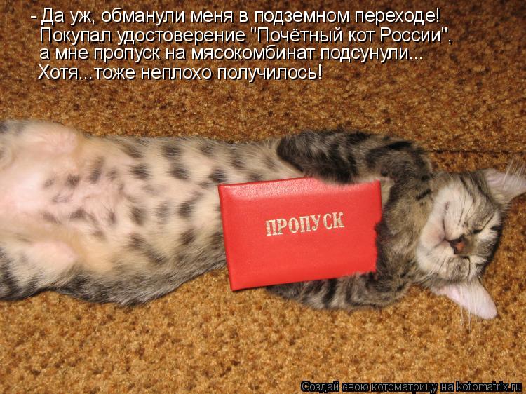 Котоматрица: - Да уж, обманули меня в подземном переходе! Покупал удостоверение "Почётный кот России", а мне пропуск на мясокомбинат подсунули... Хотя...тож