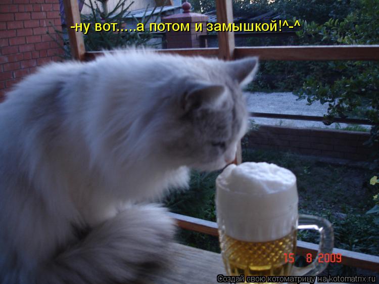 Котоматрица: -ну вот.....а потом и замышкой!^-^