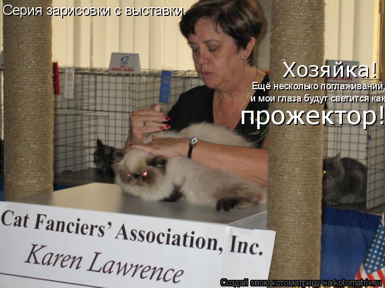 Котоматрица: Серия зарисовки с выставки. Хозяйка! Ещё несколько поглаживаний, и мои глаза будут светится как прожектор!