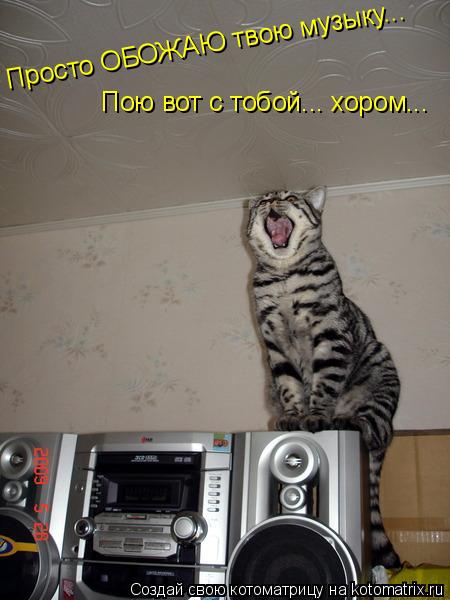 Просто ОБОЖАЮ твою музыку... Пою вот с тобой... хором...... Котоматрица: Просто ОБОЖАЮ твою музыку... Пою вот с тобой... хором...