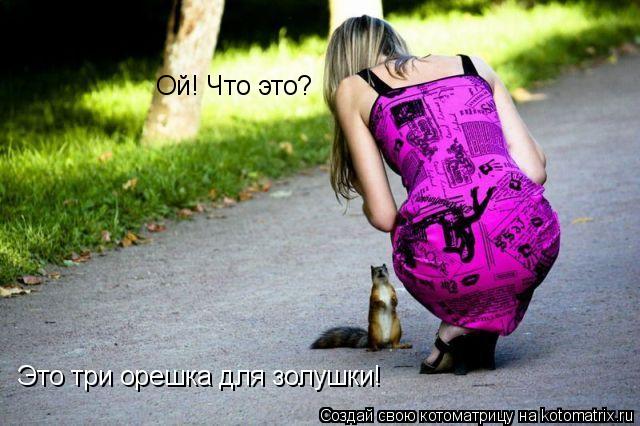 Ой! Что это? Это три орешка для золушки!... Котоматрица: Ой! Что это? Это три орешка для золушки!