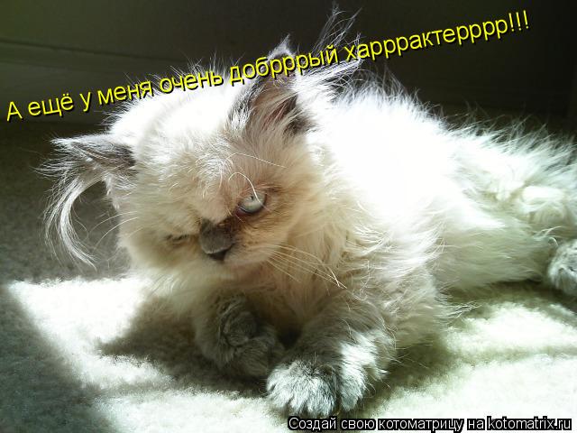А ещё у меня очень добрррый харррактерррр!!!... Котоматрица: А ещё у меня очень добрррый харррактерррр!!!
