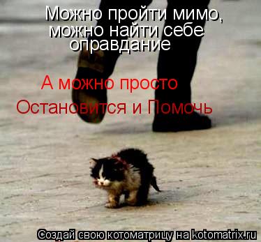 Можно пройти мимо, оправдание А можно просто можно найти себе Остановится и Помочь... Котоматрица: Можно пройти мимо, оправдание А можно просто можно найти себе Остановится и Помочь