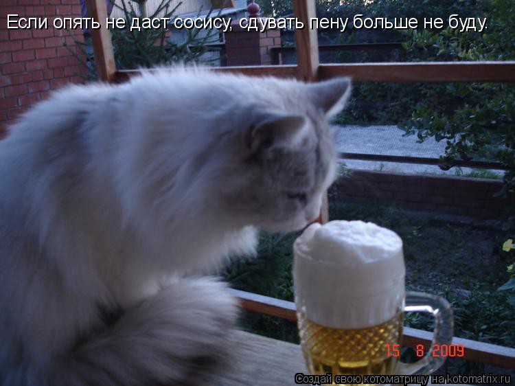 Если опять не даст сосису, сдувать пену больше не буду.... Котоматрица: Если опять не даст сосису, сдувать пену больше не буду.