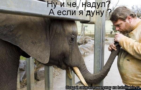 Ну и че, надул? А если я дуну ?... Котоматрица: Ну и че, надул? А если я дуну ?