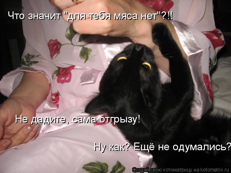 Котоматрица: Что значит "для тебя мяса нет"?!! Не дадите, сама отгрызу! Ну как? Ещё не одумались?