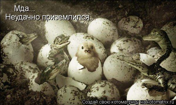 Котоматрица: Мда... Неудачно приземлился...
