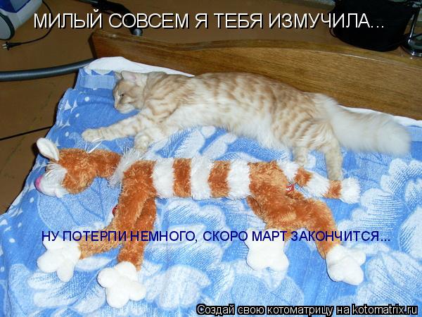 Котоматрица: МИЛЫЙ СОВСЕМ Я ТЕБЯ ИЗМУЧИЛА... НУ ПОТЕРПИ НЕМНОГО, СКОРО МАРТ ЗАКОНЧИТСЯ...