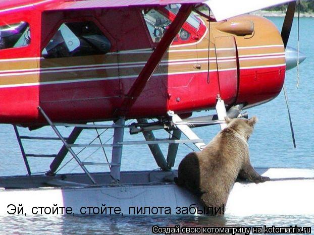 Котоматрица: Эй, стойте, стойте, пилота забыли!