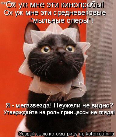 Котоматрица: Ох уж мне эти кинопробы! Ох уж мне эти средневековые "мыльные оперы"! Я - мегазвезда! Неужели не видно? Утверждайте на роль принцессы не глядя!