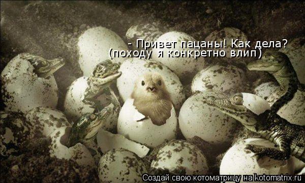 Котоматрица: - Привет пацаны! Как дела? (походу я конкретно влип)
