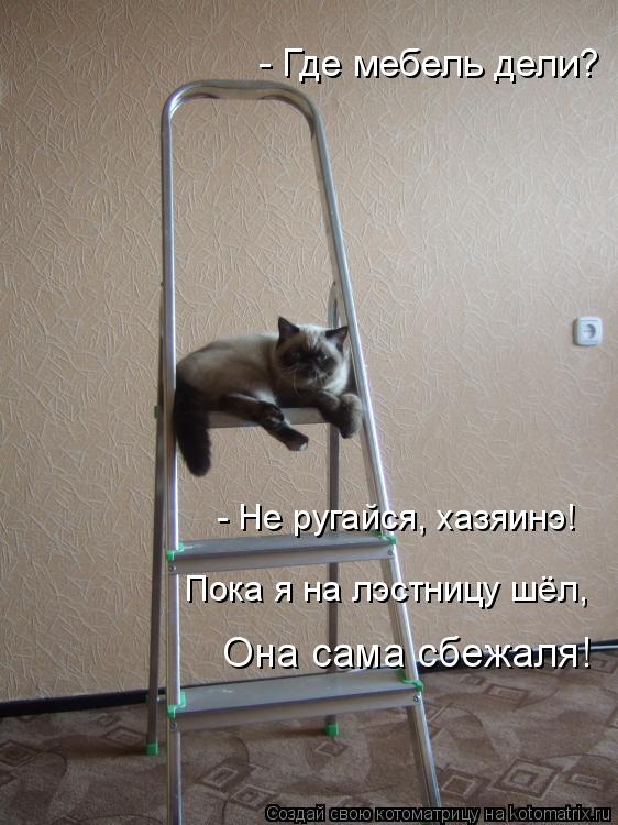 Котоматрица: - Где мебель дели? - Не ругайся, хазяинэ!  Пока я на лэстницу шёл, Она сама сбежаля!