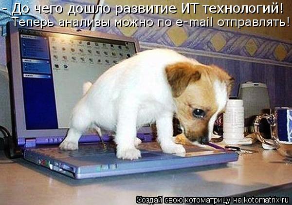 - До чего дошло развитие ИТ технологий! Теперь анализы можно по e-mail отправлять!... Котоматрица: - До чего дошло развитие ИТ технологий! Теперь анализы можно по e-mail отправлять!