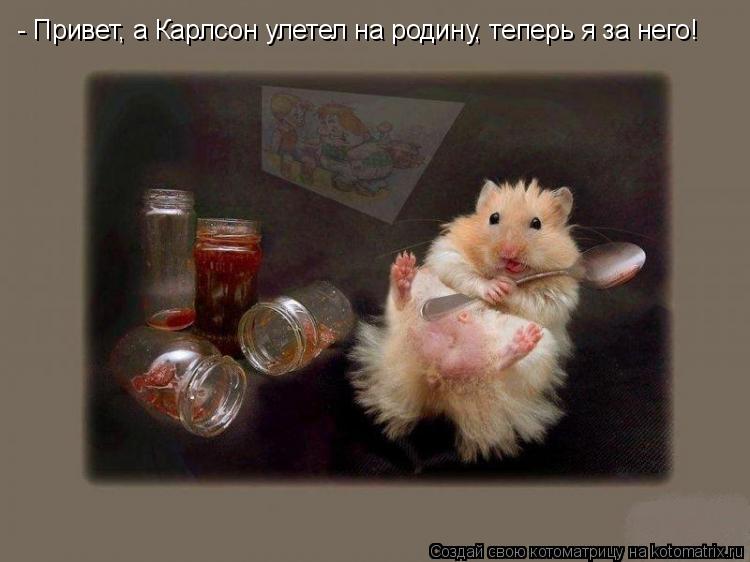 - Привет, а Карлсон улетел на родину, теперь я за него!... Котоматрица: - Привет, а Карлсон улетел на родину, теперь я за него!