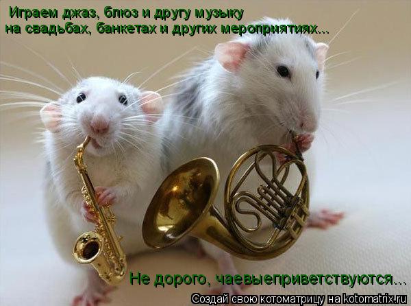 Играем джаз, блюз и другу музыку на свадьбах, банкетах и других мероприятиях... Не дорого, чаевыепр... Котоматрица: Играем джаз, блюз и другу музыку на свадьбах, банкетах и других мероприятиях... Не дорого, чаевыеприветствуются...