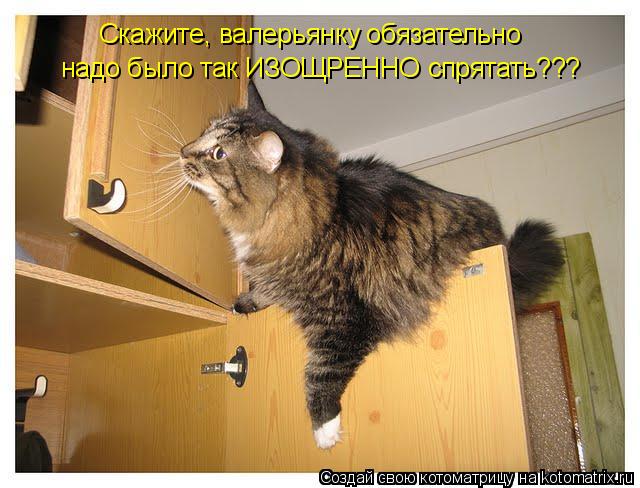 Скажите, валерьянку обязательно надо было так ИЗОЩРЕННО спрятать???... Котоматрица: Скажите, валерьянку обязательно надо было так ИЗОЩРЕННО спрятать???