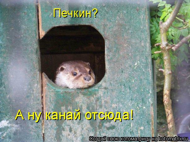Печкин? А ну канай отсюда!... Котоматрица: Печкин? А ну канай отсюда!