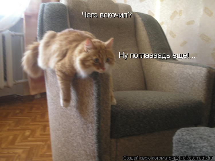 Котоматрица: Чего вскочил?  Ну поглаааадь еще!...