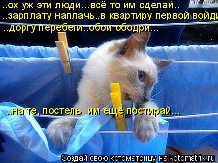 Котоматрица: ..ох уж эти люди...всё то им сделай.. ..зарплату наплачь..в квартиру первой войди... ..доргу перебеги..обои ободри... ..на те, постель  им ещё постира