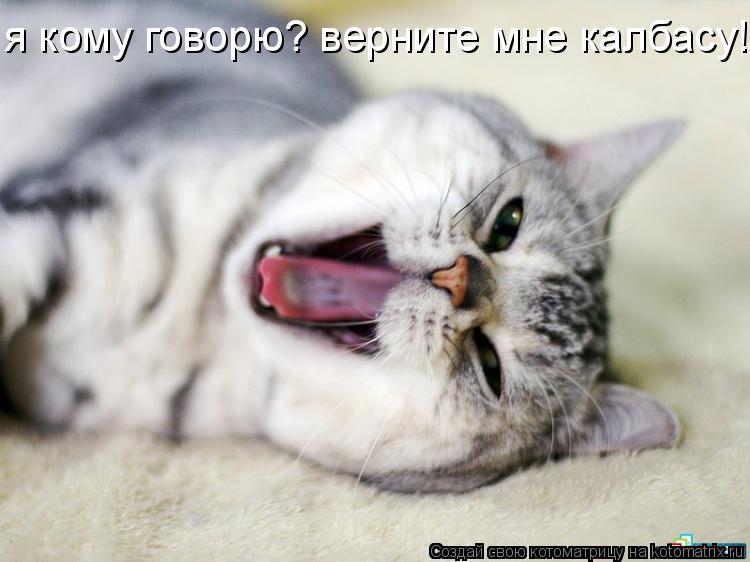 Котоматрица: я кому говорю? верните мне лалбасу  я кому говорю? верните мне калбасу!