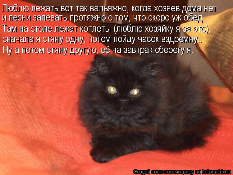 Котоматрица: Люблю лежать вот так вальяжно, когда хозяев дома нет и песни запевать протяжно о том, что скоро уж обед. Там на столе лежат котлеты (люблю хоз