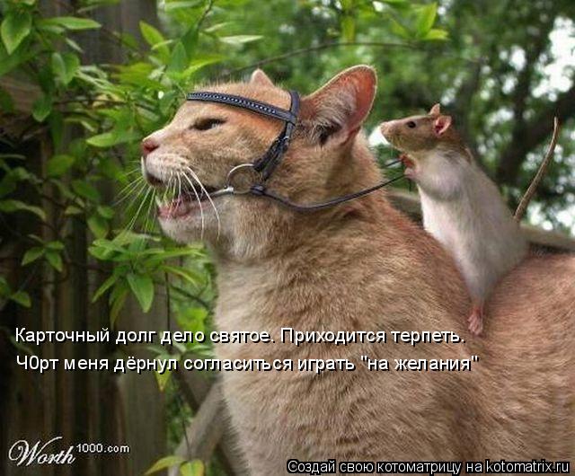 Котоматрица: Карточный долг дело святое. Приходится терпеть.  Ч0рт меня дёрнул согласиться играть "на желания"