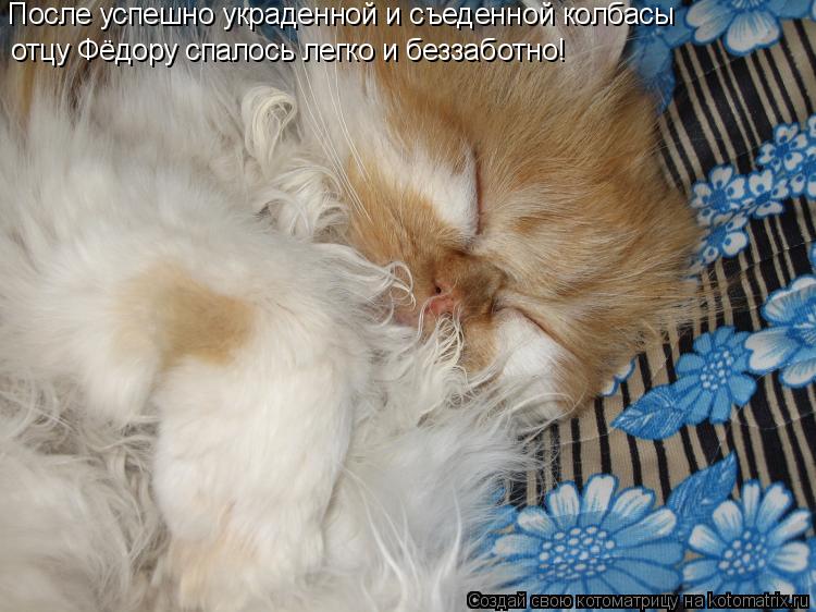 Котоматрица: После успешно украденной и съеденной колбасы отцу Фёдору спалось легко и беззаботно!