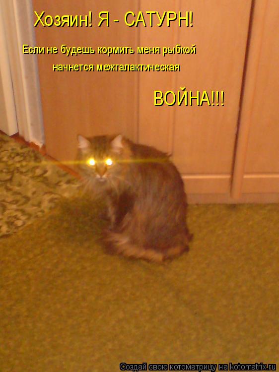Котоматрица: Хозяин! Я - САТУРН!   Если не будешь кормить меня рыбкой начнется межгалактическая ВОЙНА!!!