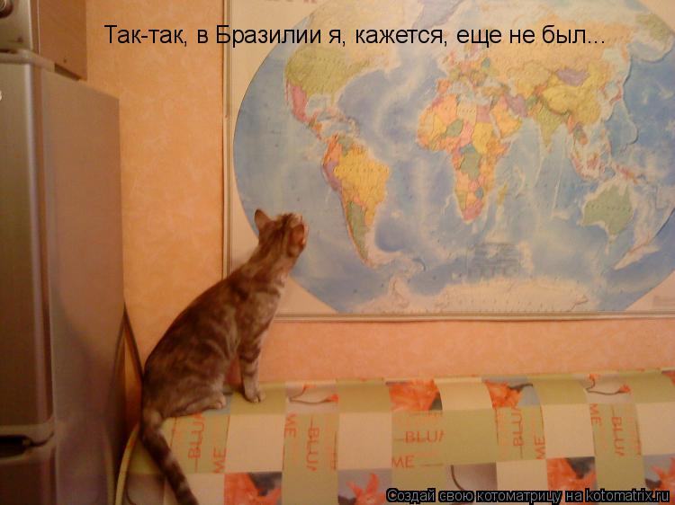 Котоматрица: Так-так, в Бразилии я, кажется, еще не был...