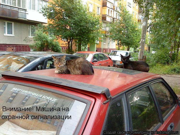 Котоматрица: Внимание! Машина на  охранной сигнализации