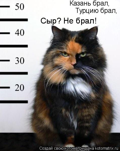 Котоматрица: Казань брал, Турцию брал, Сыр? Не брал!