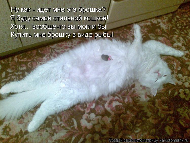 Ну как - идет мне эта брошка? Я буду самой стильной кошкой! Хотя... вообще-то вы могли бы Купить мне ... Котоматрица: Ну как - идет мне эта брошка? Я буду самой стильной кошкой! Хотя... вообще-то вы могли бы Купить мне брошку в виде рыбы!