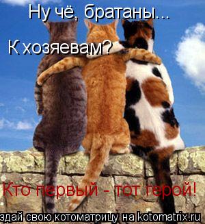 Котоматрица: Ну чё, братаны... К хозяевам? Кто первый - тот герой!