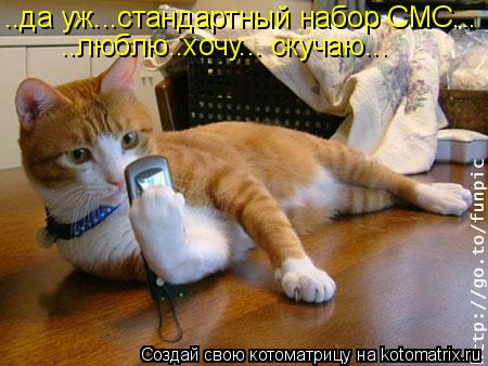 Котоматрица: ..да уж...стандартный набор СМС... ..люблю..хочу... скучаю...