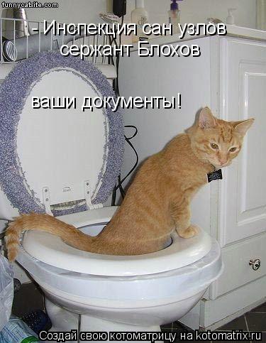 - Инспекция сан узлов сержант Блохов ваши документы!... Котоматрица: - Инспекция сан узлов сержант Блохов ваши документы!