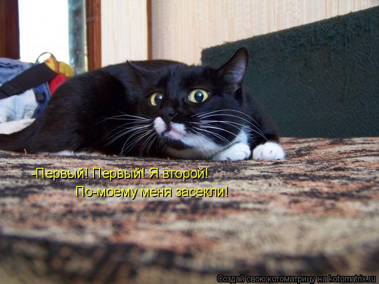Котоматрица: -Первый! Первый! Я второй!  -Первый! Первый! Я второй!  По-моему меня засекли!
